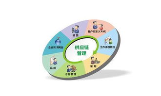 專業(yè)供應(yīng)鏈管理服務(wù) 上海卓昕瑞供應(yīng)鏈管理解析